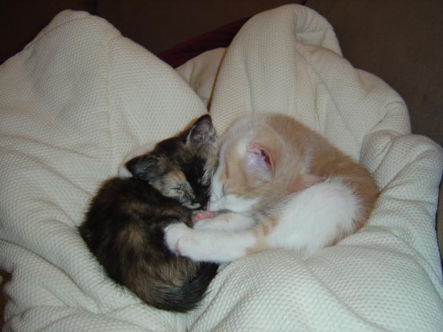 DSC00368