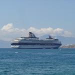 Cruise