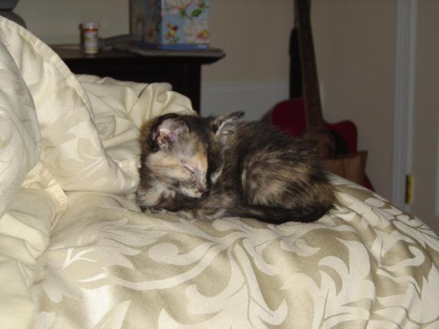 DSC00206
