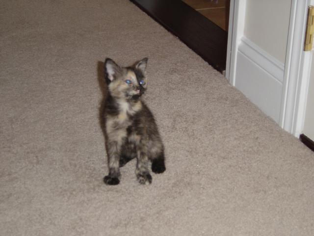 DSC00208