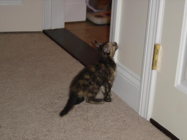 DSC00210