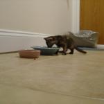 DSC00222