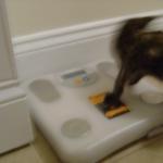 DSC00224
