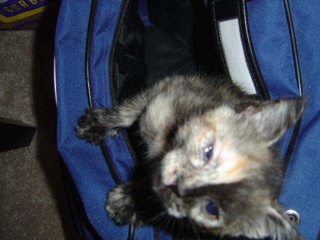 DSC00247
