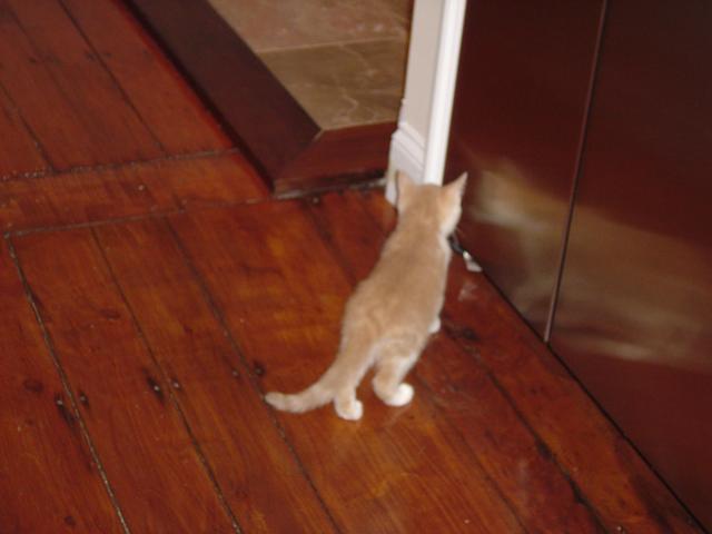 DSC00263