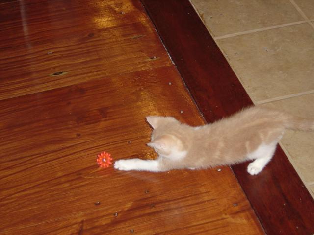 DSC00269