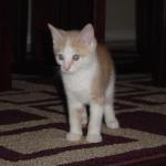 DSC00272