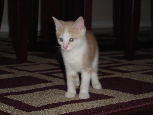 DSC00272