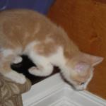 DSC00277