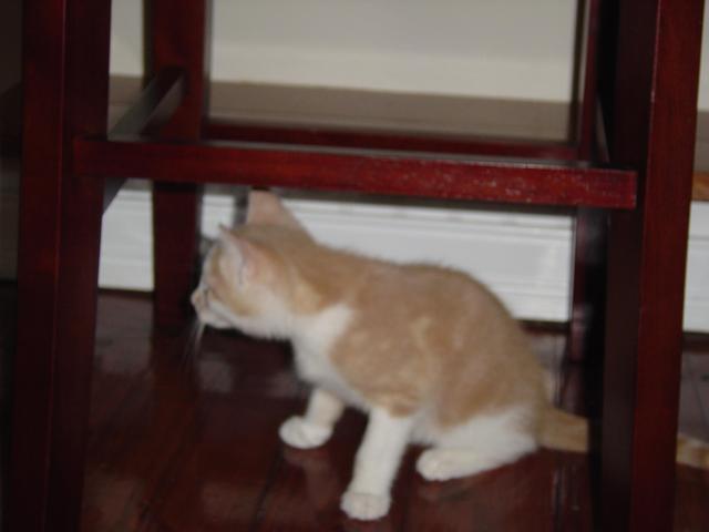 DSC00278