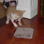 DSC00287