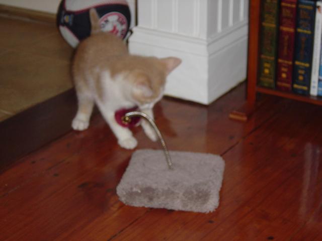 DSC00287
