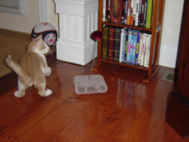 DSC00288