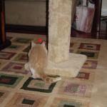 DSC00294