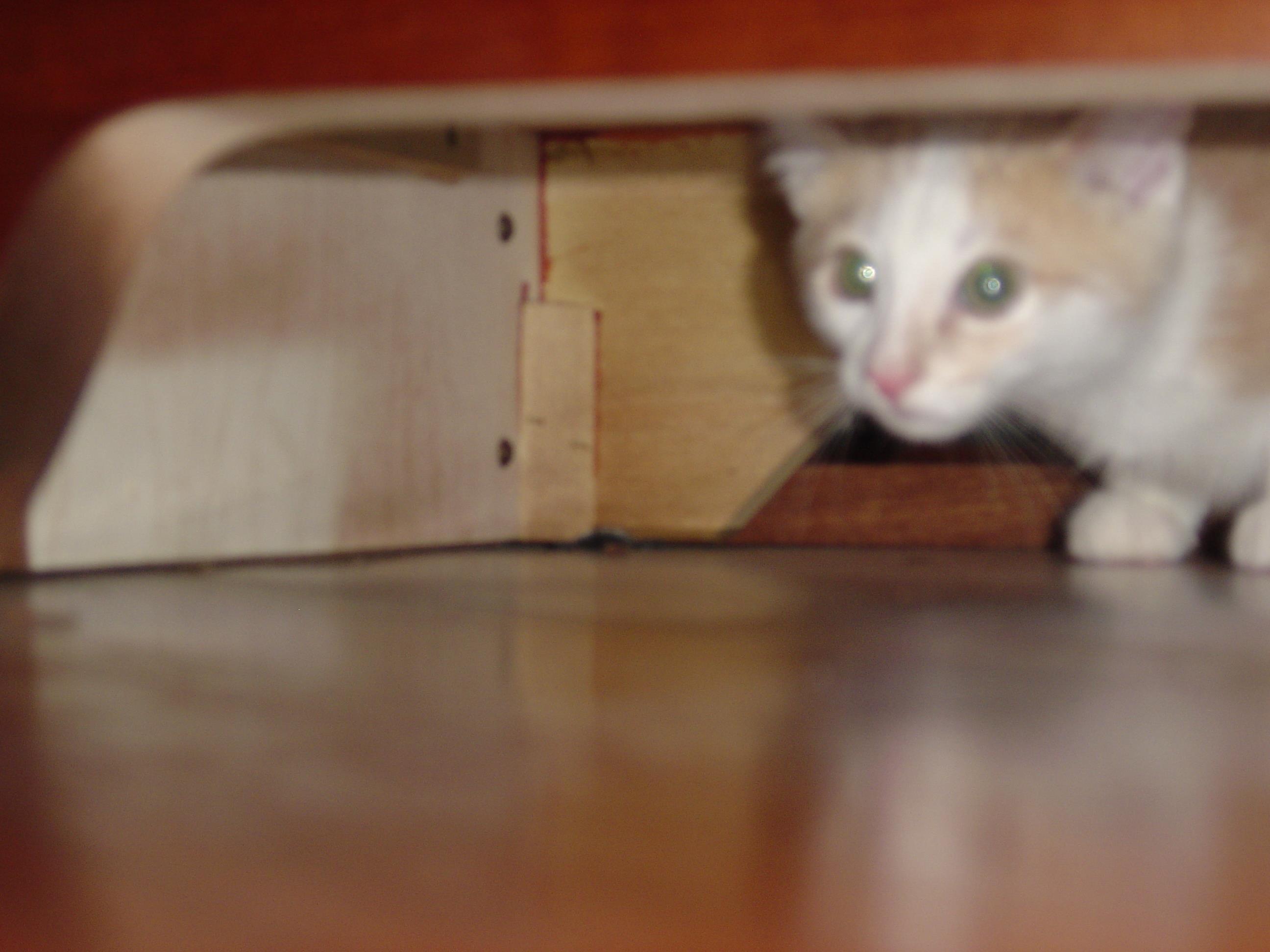 DSC00303
