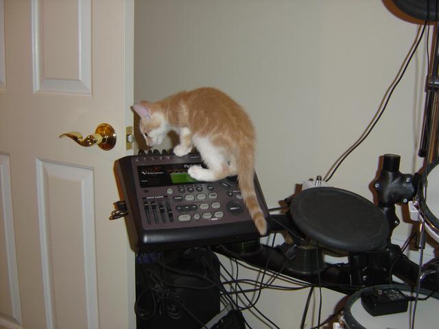DSC00332
