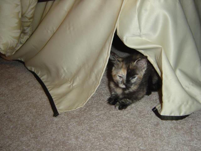 DSC00321