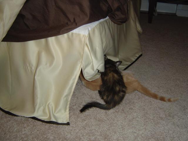 DSC00325