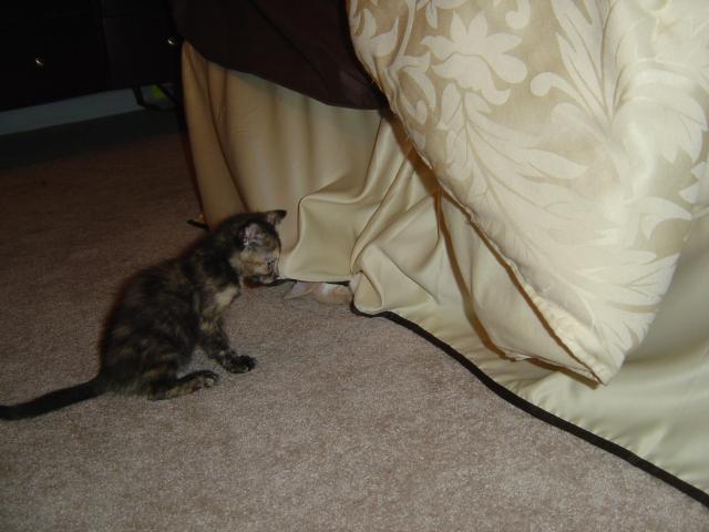 DSC00326