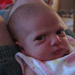 IMG_0250