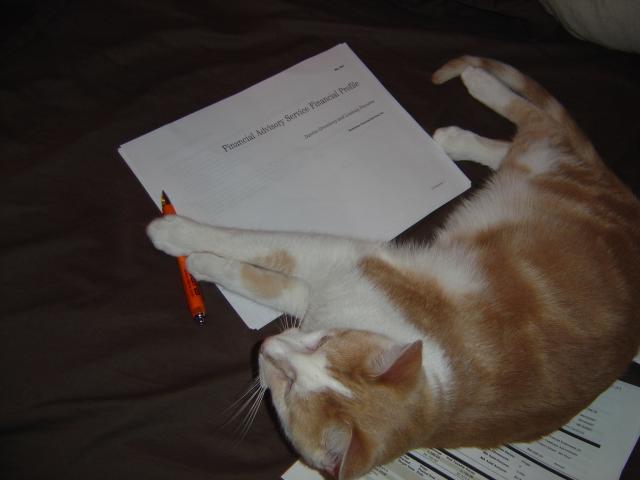 DSC01864.JPG