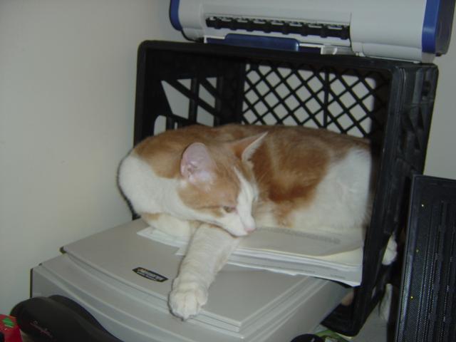 DSC01991.JPG