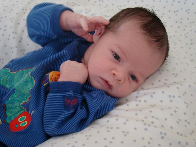 2 weeks old