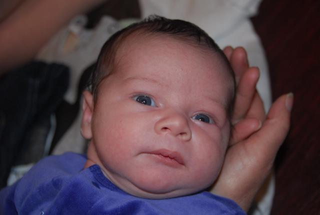 3 weeks old
