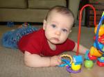 7 Months